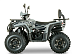 Квадроцикл YACOTA DRAGON LUX LD 125 в Барнауле