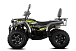 Квадроцикл GBM CROSS HILL 320 BIG PREMIUM в Барнауле