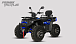 Квадроцикл PROMAX TAURUS 300 MAX-PRO LONG в Барнауле