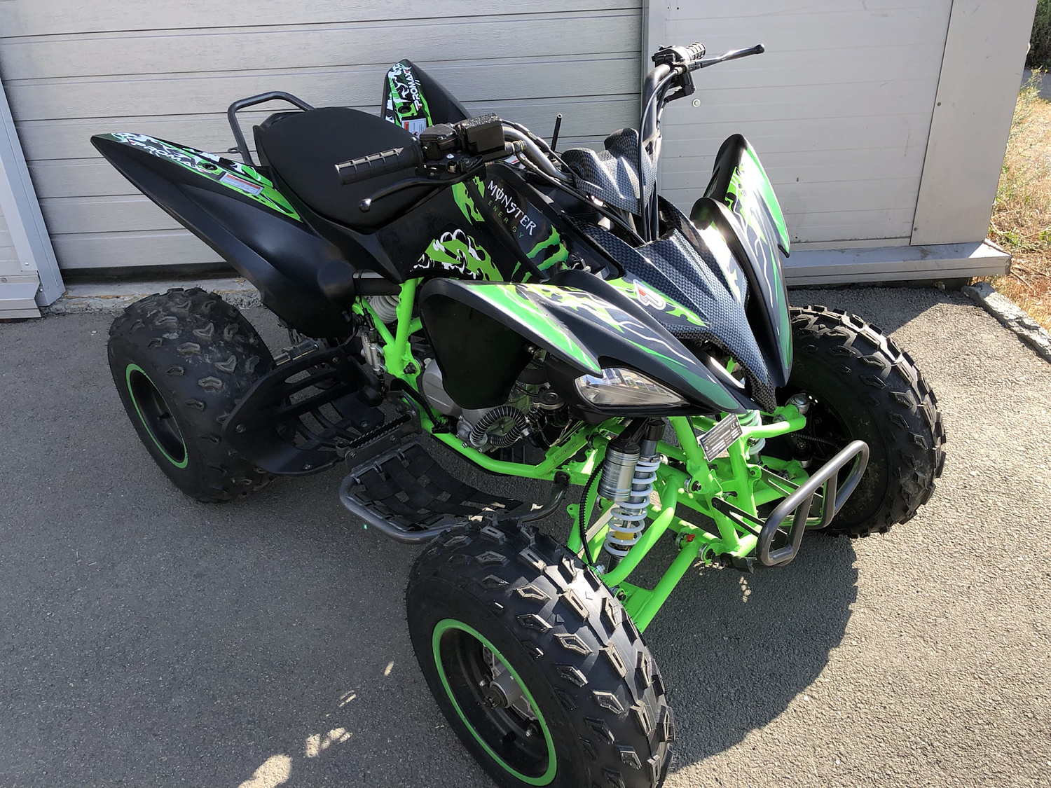 Квадроцикл PROMAX RAPTOR 300 NEW Monster в Барнауле