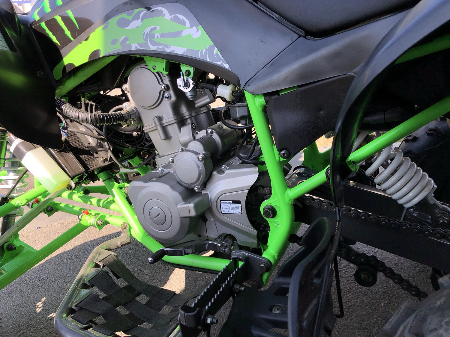 Квадроцикл PROMAX RAPTOR 300 NEW Monster в Барнауле