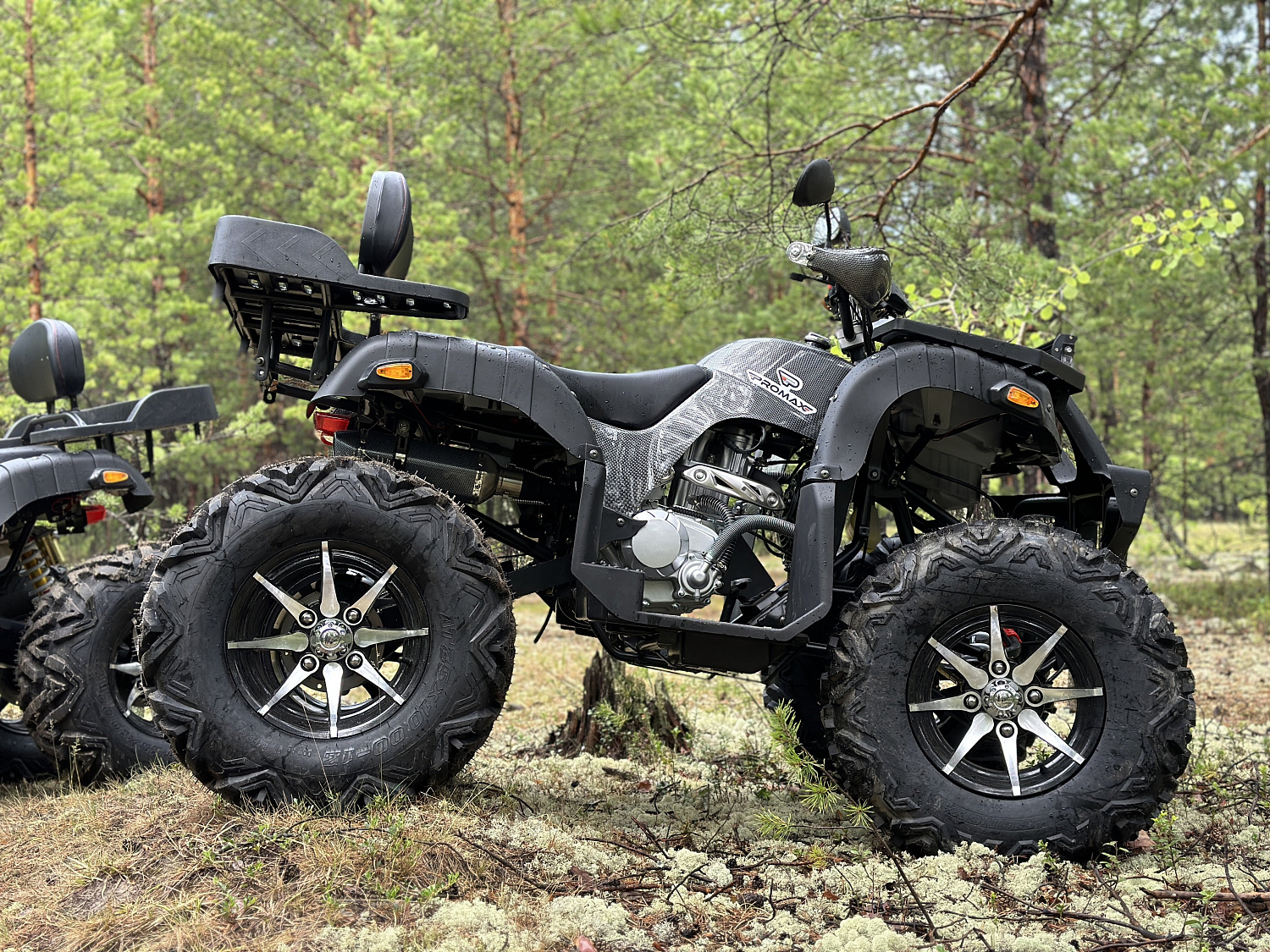 Квадроцикл PROMAX 320 DOMINATOR (2025) в Барнауле