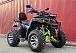  Квадроцикл PROMAX ATV 250 MAX (2025) в Барнауле
