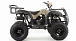 Квадроцикл MOTOLAND (МОТОЛЕНД) 200 ALL ROAD в Барнауле