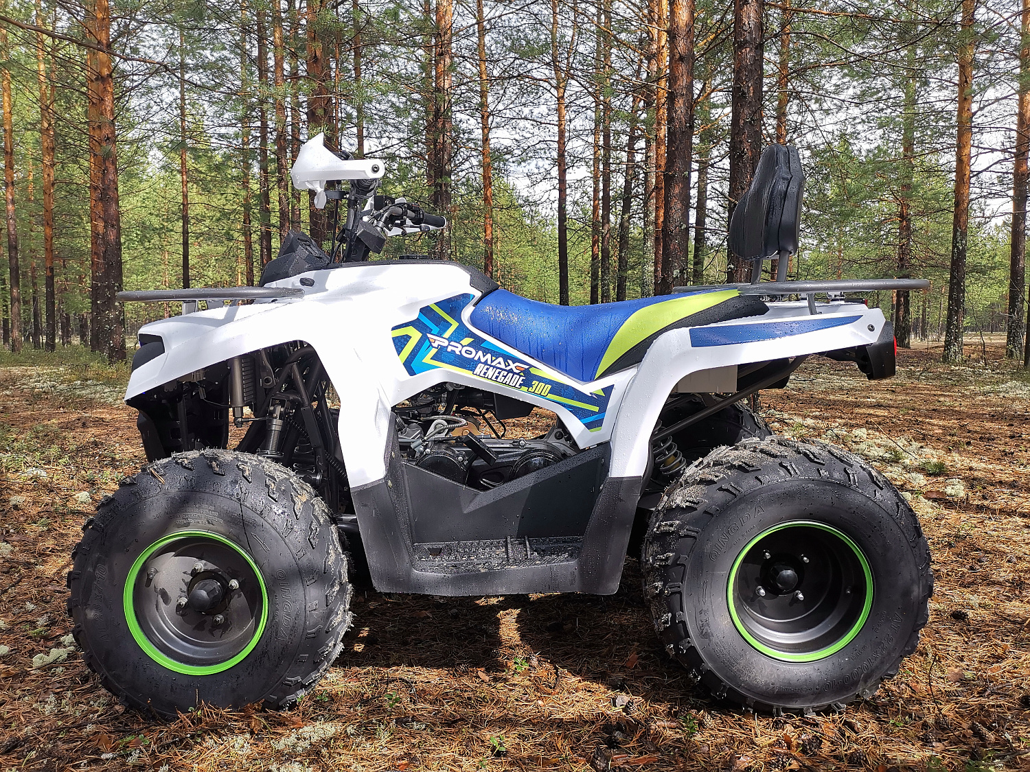 Квадроцикл PROMAX RENEGADE 280 (2025) в Барнауле