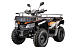Квадроцикл YACOTA CABO 200 в Барнауле