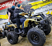 Квадроцикл PROMAX ATV 250 (2025) в Барнауле
