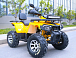 Квадроцикл MOTOLAND (МОТОЛЕНД) VOX200 WILD TRACK X PRO (баланс. вал) в Барнауле