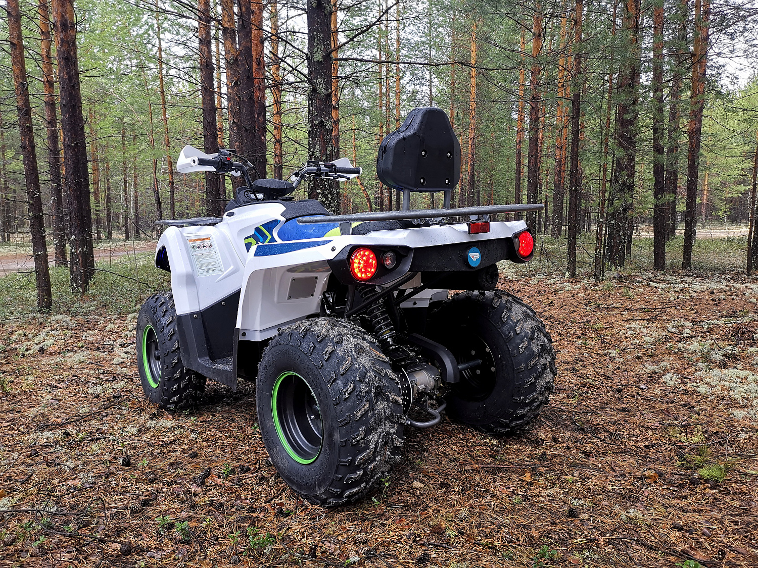 Квадроцикл PROMAX RENEGADE 280 (2025) в Барнауле