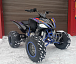 Квадроцикл PROMAX RAPTOR 300 NEW RedBull в Барнауле