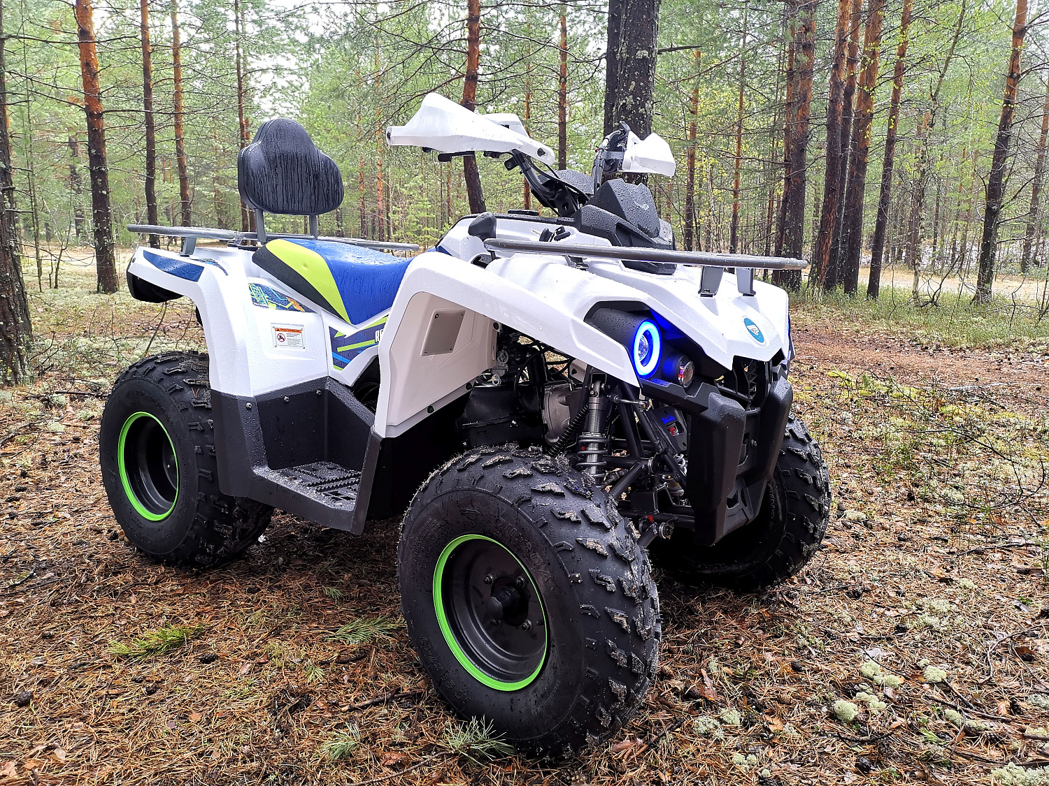Квадроцикл PROMAX RENEGADE 280 (2025) в Барнауле