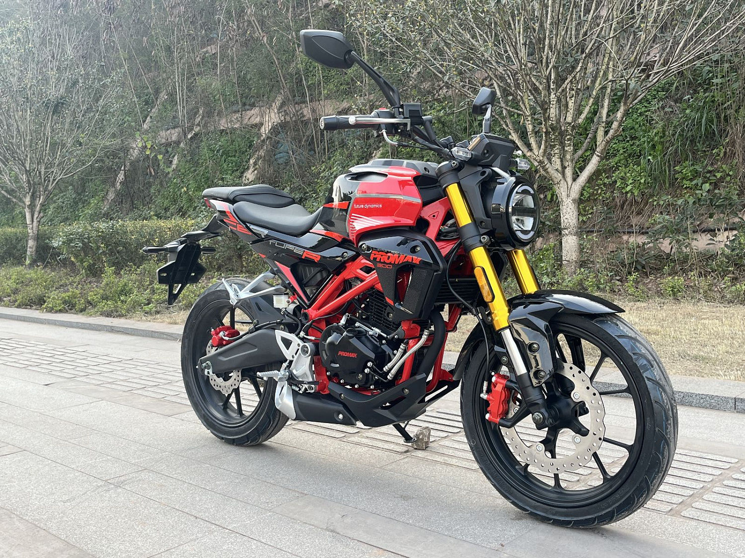 Мотоцикл PROMAX CB300 в Барнауле