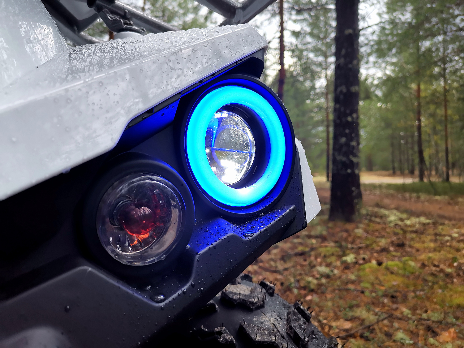 Квадроцикл PROMAX RENEGADE 280 (2025) в Барнауле