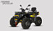 Квадроцикл PROMAX TAURUS 300 MAX-PRO LONG в Барнауле